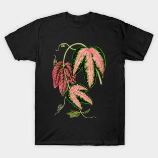 Passionflower - Passion Vine botanical illustration T-Shirt